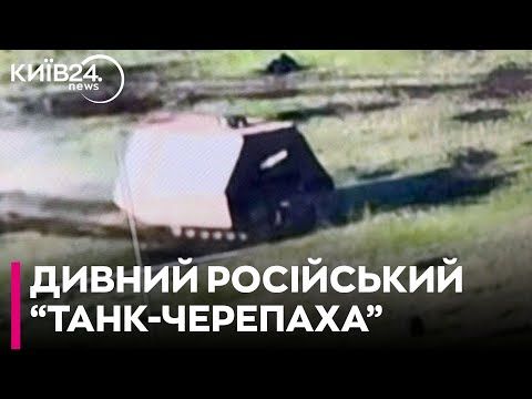 ���������� ��������� ����� �������� ���� ��������- ��������- ����������� ������-��������, �������, �� ������ ����������� ������� �������������� ���� �� ������