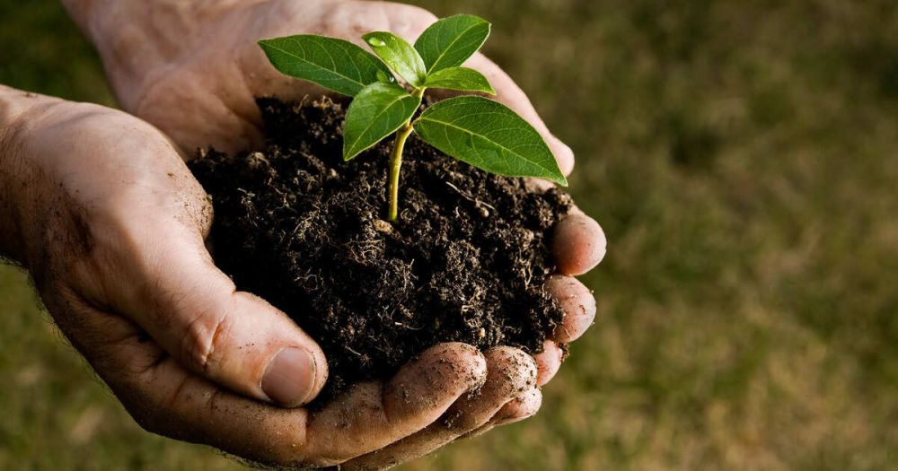 � ����� � ������� ��������� ����� � ������ � �������� ����������� ���