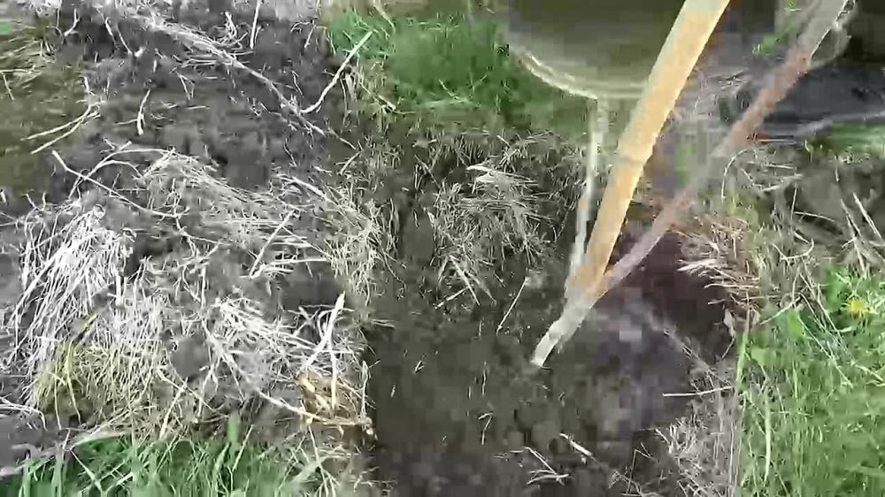 "��� ������": � ������ ������-����������
