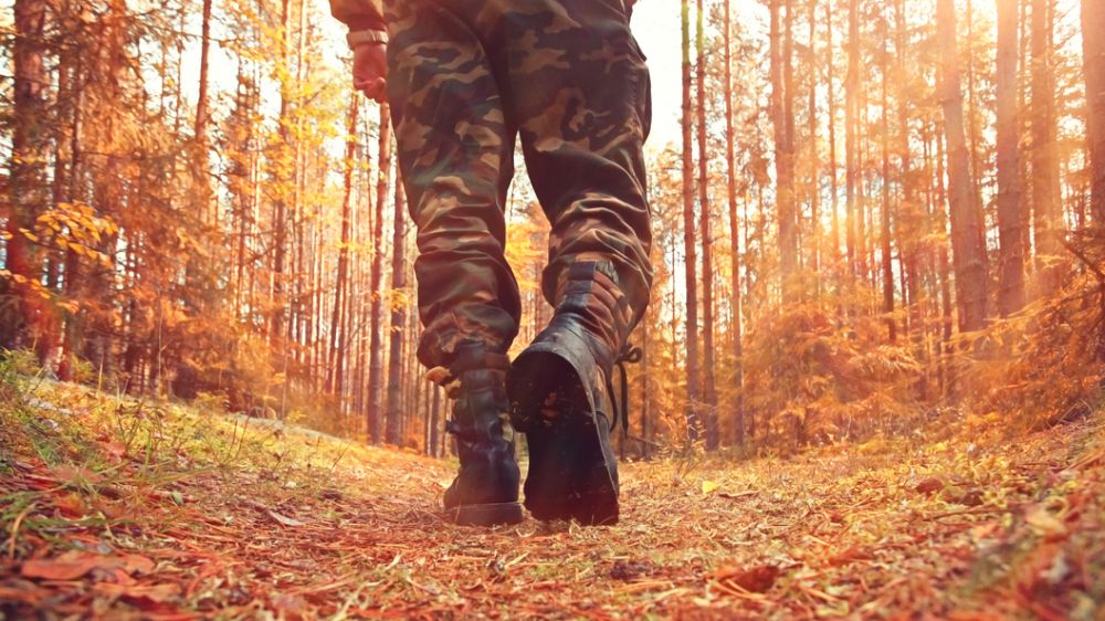 ������ ��� ����������? ������� ������ �������� ������������� ����������� � �������� ������� "������" ������