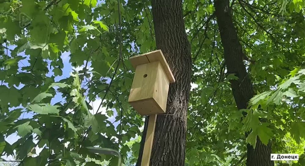 ������ ����� � ���� ���