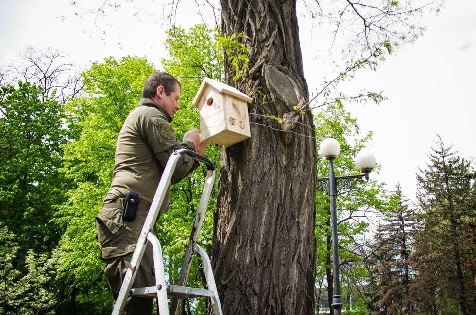 ����� ��������� � ������� ���������� ����������� �� ����������� ��������