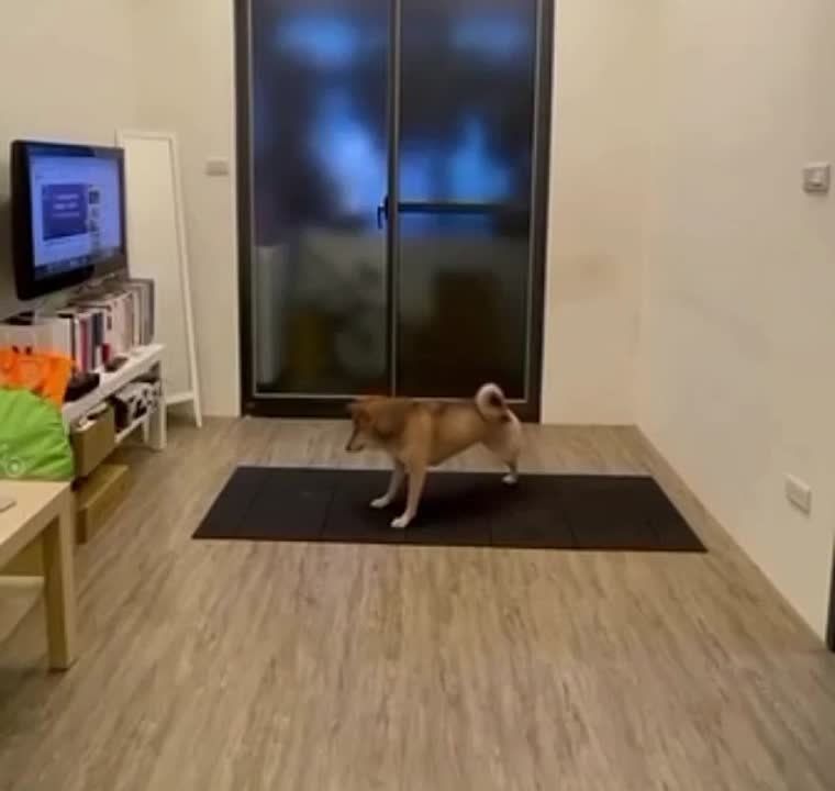 ������ ����! ���� �������, ������� � ������� ��� � ����� ������ � �������! � ����� ��� ����� ������! ���� ������ ���������!