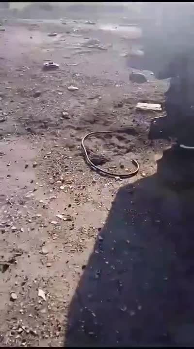 ������ �������: ������������ �� ����������� ����������� ���������� ��� �113 ������������� ������������