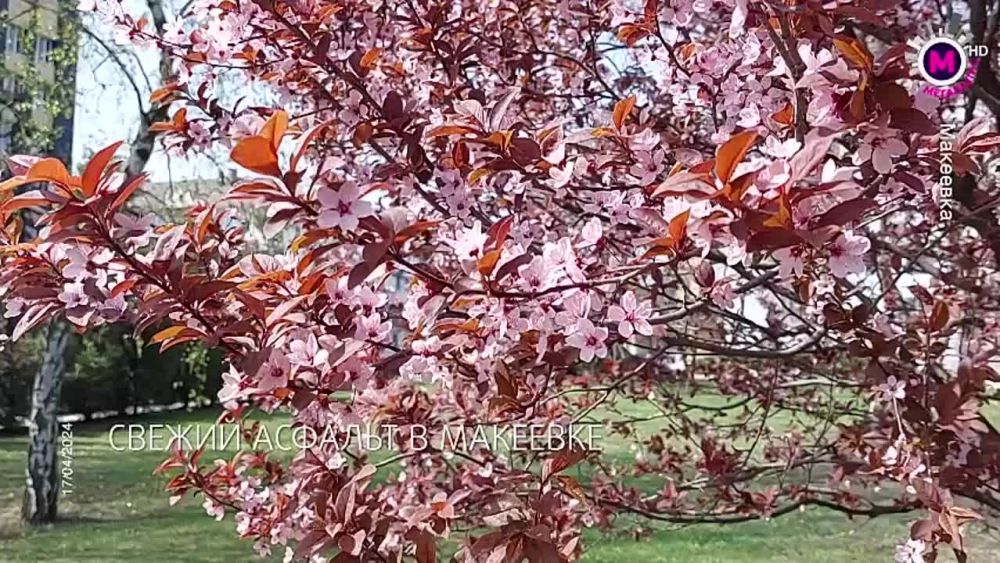 ����� ������� �������� ���������� � �������� ������