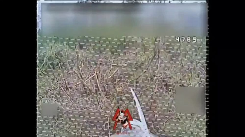 ��������� �������: ����� �� � ������� ������ ��������� � ��������� ������� ������ ����������� ��� �� ���������� �����������