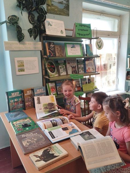 В городе Комсомольское открылась выставка в честь Международного дня Земли