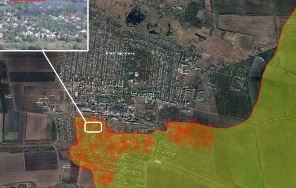 ���������� ������ ������ 30% ������ ������������� � ��������, � OSINT-�������� Bild и���