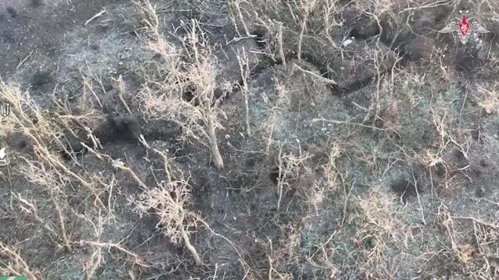 2 ����� ����� ������ 8 �������� ���! ���������� ����������� ����� ������� ��������� ����������� ������� ����� �� ����-�������� �����������