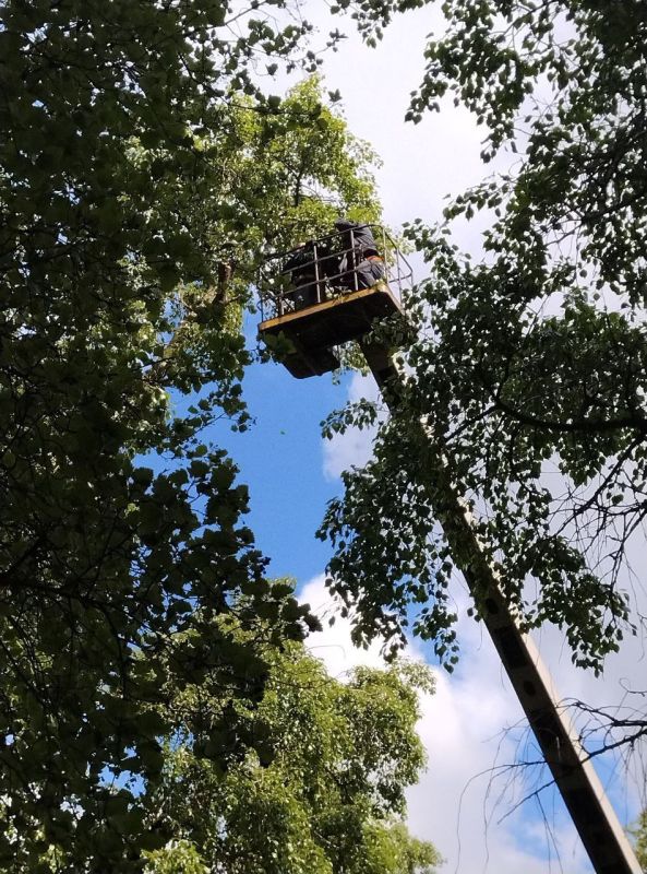 ������� ������: ������� ������ ��� ��� "����������� �������� ������������ ������ �.�������" ��������� ������ �� ���������� ������� ������ �������� �� �������: