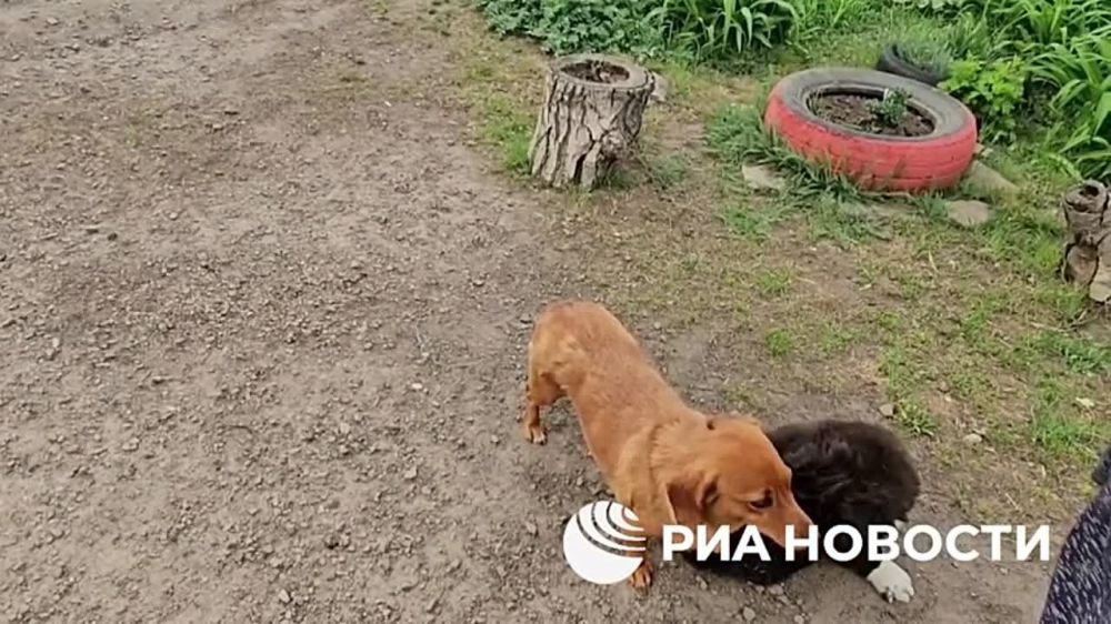 ������������� ��� ������� ����� � ��� ��� ������ ���������� ��������� �������� ���������, ������� ����������� � �������� ��...
