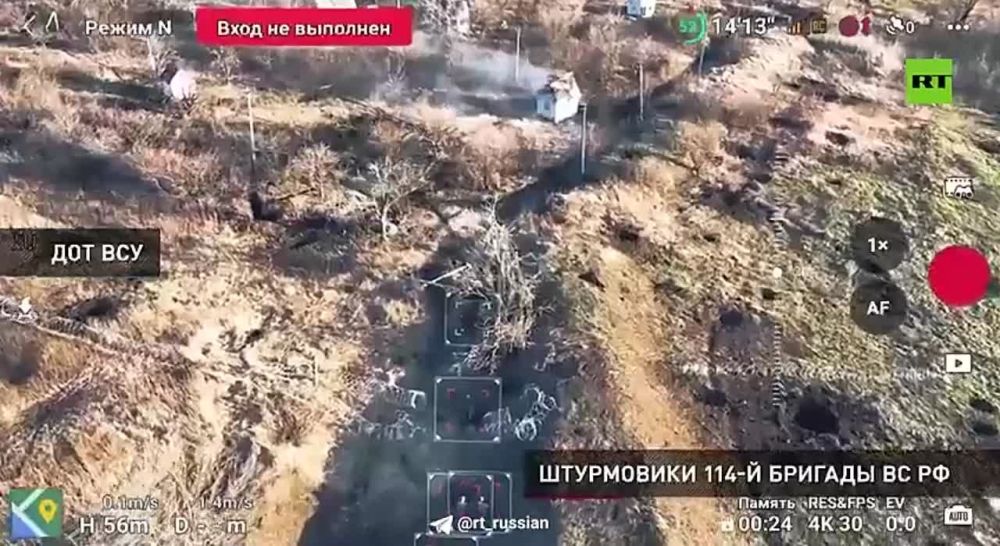 ������ �������: ������, ����!. ������� �� ��� +79253278919 �������� ����, �����, ����������� ���� ����������� ������ ����...