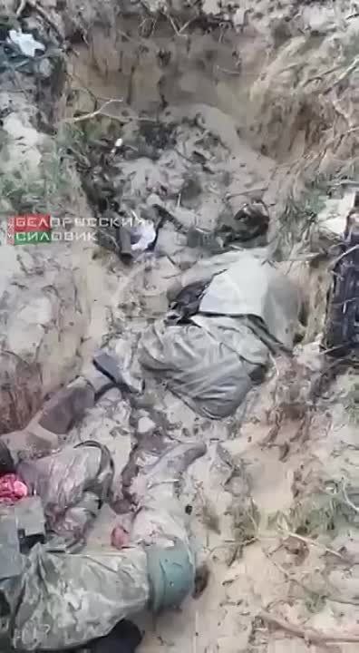 ����� �� ����������� �� ���� ���, ��������