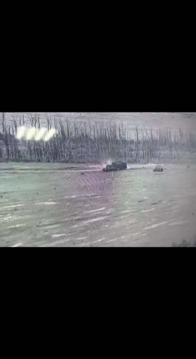 �����-������ ������ ���������