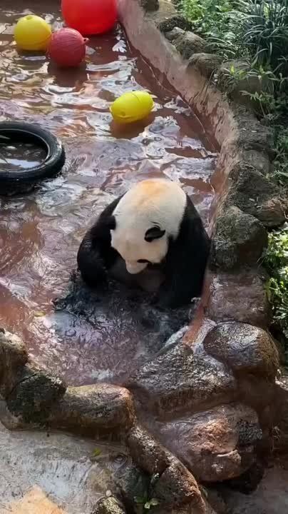 � ������ �����, ���������!