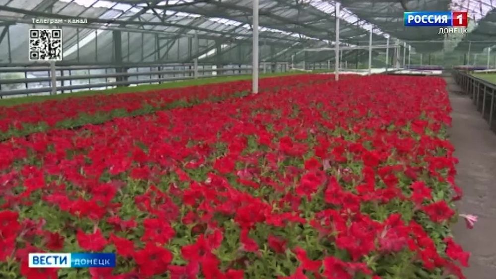 80 ����� ������� ��������� � �������� �������