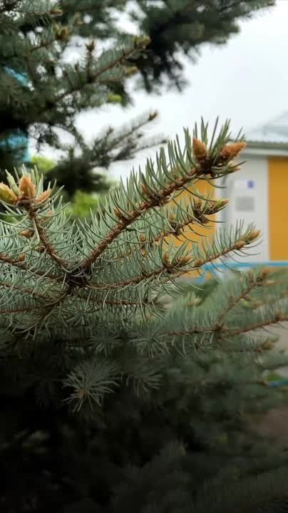 ����� ����������: ������� ������� � ����������� ������������� ������