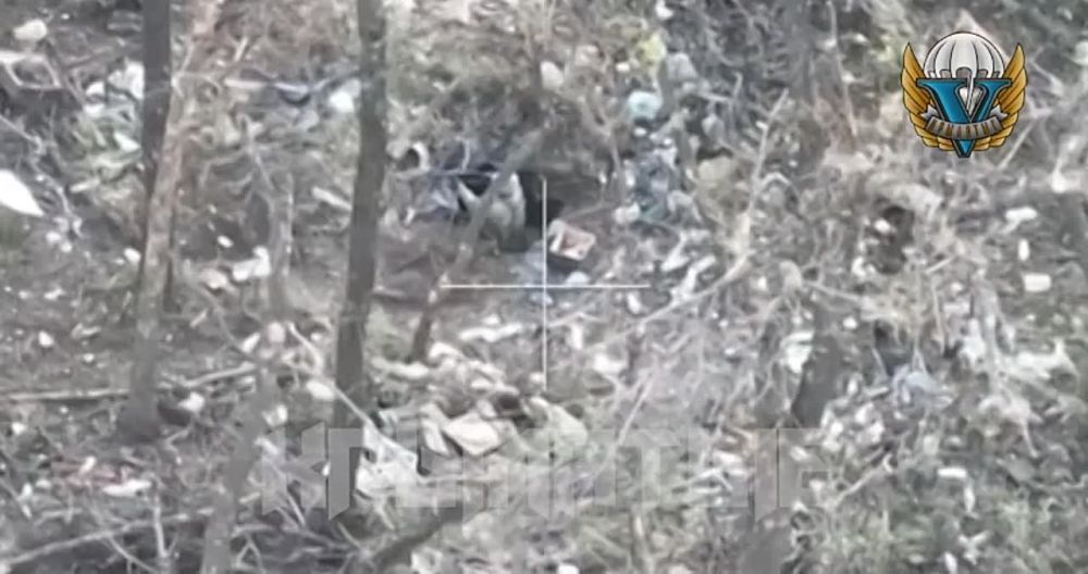 ����������� ����������� ���� �.�