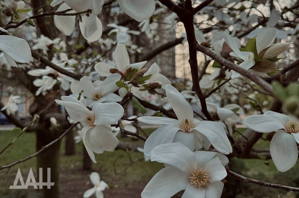 ������ �������������� ������� � ����������� ������� ��� ������� ��-�� ������