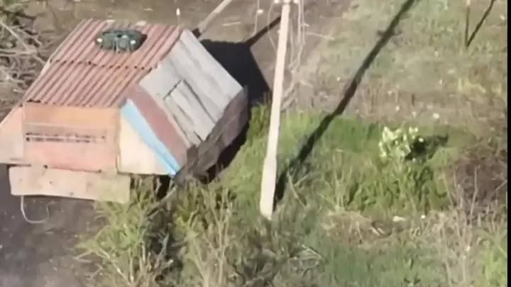 ���� ��������: ������������� - ����� ������ ����������