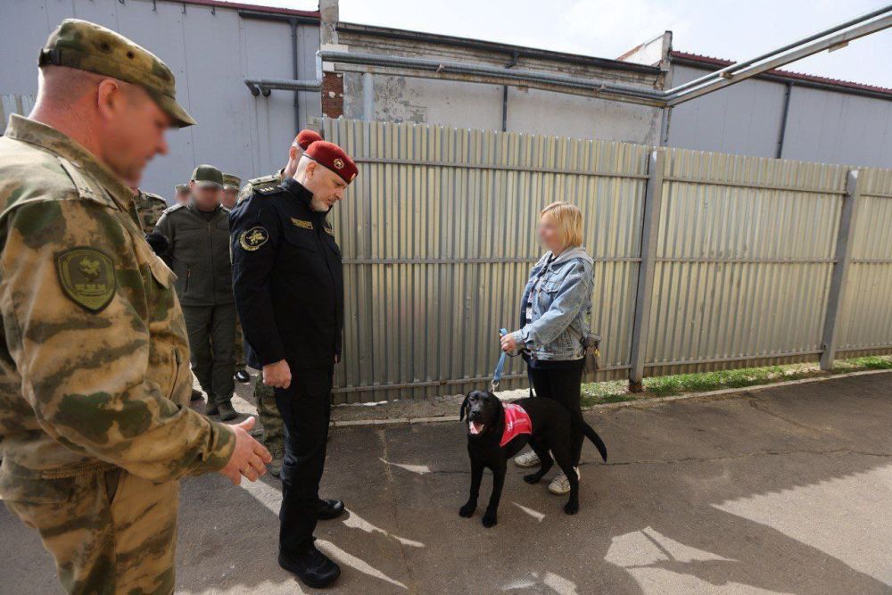 �������-��������� ������� �������� ������ ������ ���������� ��������� ���������� � ����������� ���������� �������������