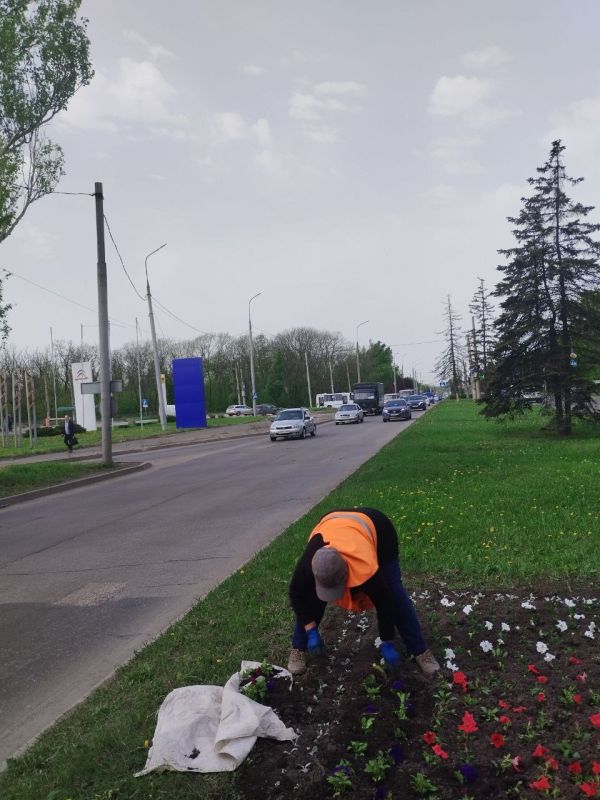 Василий Ткачук: Сегодня сотрудники МУП АГД "ЗЕЛЕНСТРОЙ КАЛИНИНСКОГО РАЙОНА" высадили тагетис - 1000 шт. петуния - 4000 шт. а кругу "Мотель" по проспекту Ильича в Калининском районе г.Донецка