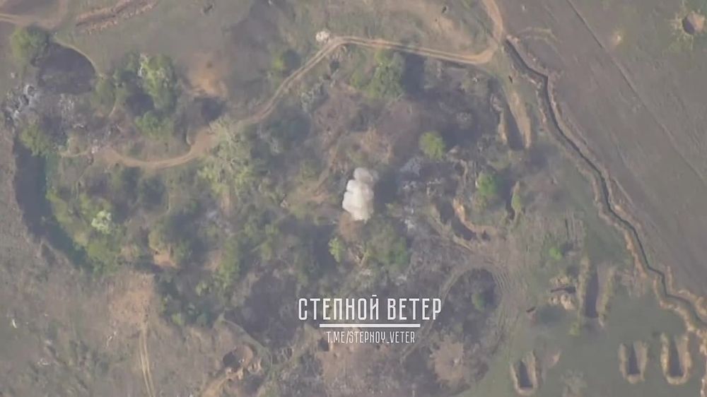 ������ �������: ����������� ������ ����������� ��� ��� ����� ���� ������������ ��� Paladin