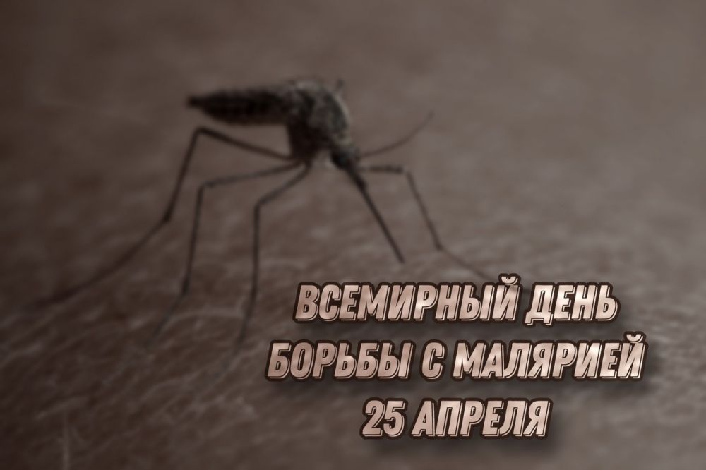 25 ������ - ��������� ���� ������ � ��������