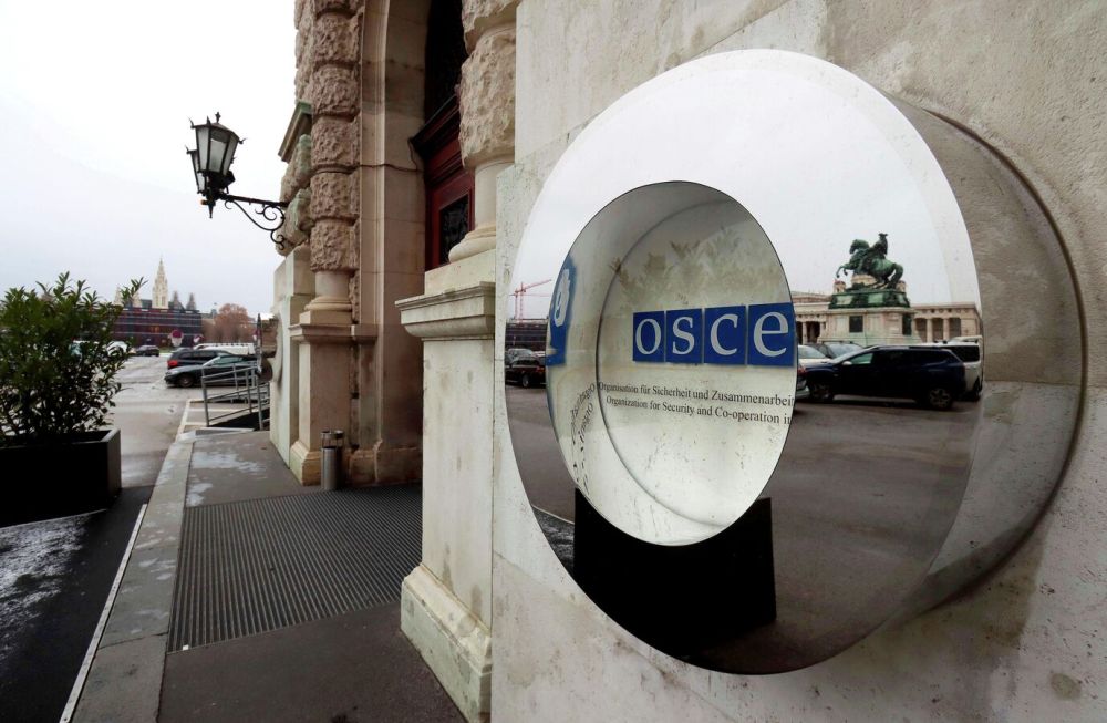 Россия потребовала от ОБСЕ не политизировать обсуждение убийств журналистов
