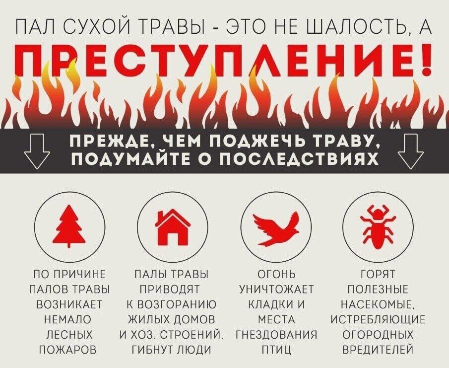 ����� �����: ������ ����� ����� � ��� �� �������