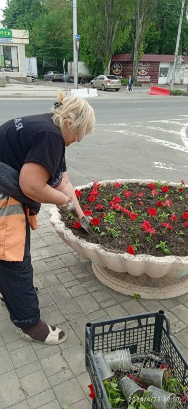 Василий Ткачук: Сегодня сотрудники МУП АГД "ЗЕЛЕНСТРОЙ КАЛИНИНСКОГО РАЙОНА" высадили петунии - 625 шт. о проспекту Ильича в Калининском районе г.Донецка