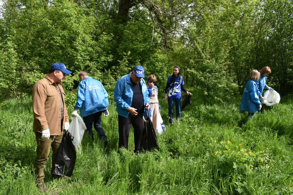 Игорь Лызов: Тема экологии стала одной из важных в современном обществе