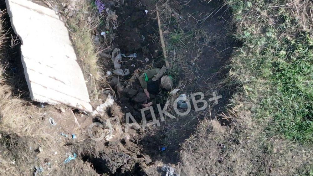 ��������� �������: . ����� � �������������