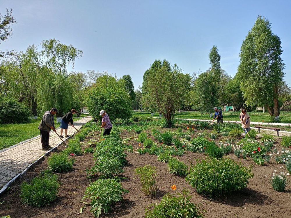 ������� �������: �������� ����������, ��������� ������������ �������� � ������ ������������� �������� ������������� �������������� ������ ������� ������� �� ������������� ���������� � ������� � ������� ���������� ����� ���������� �������