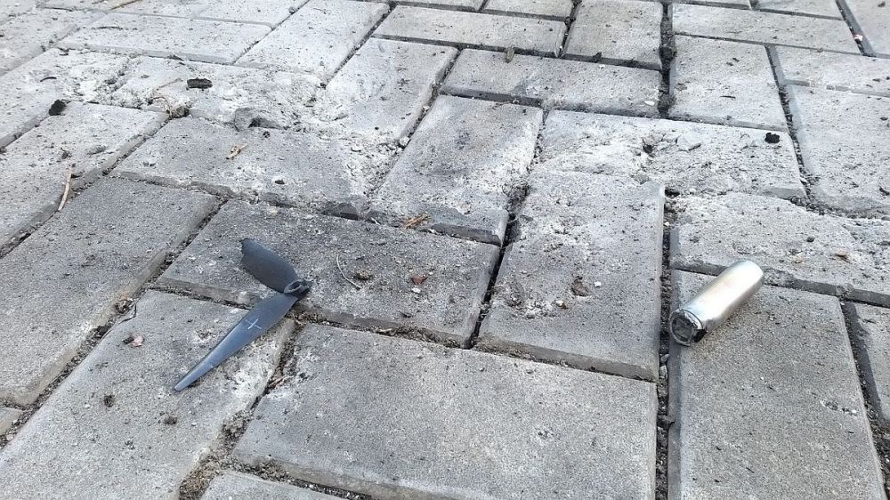 ���������� ���� �������� �����������, ������� ����� ������ ��������� � ���