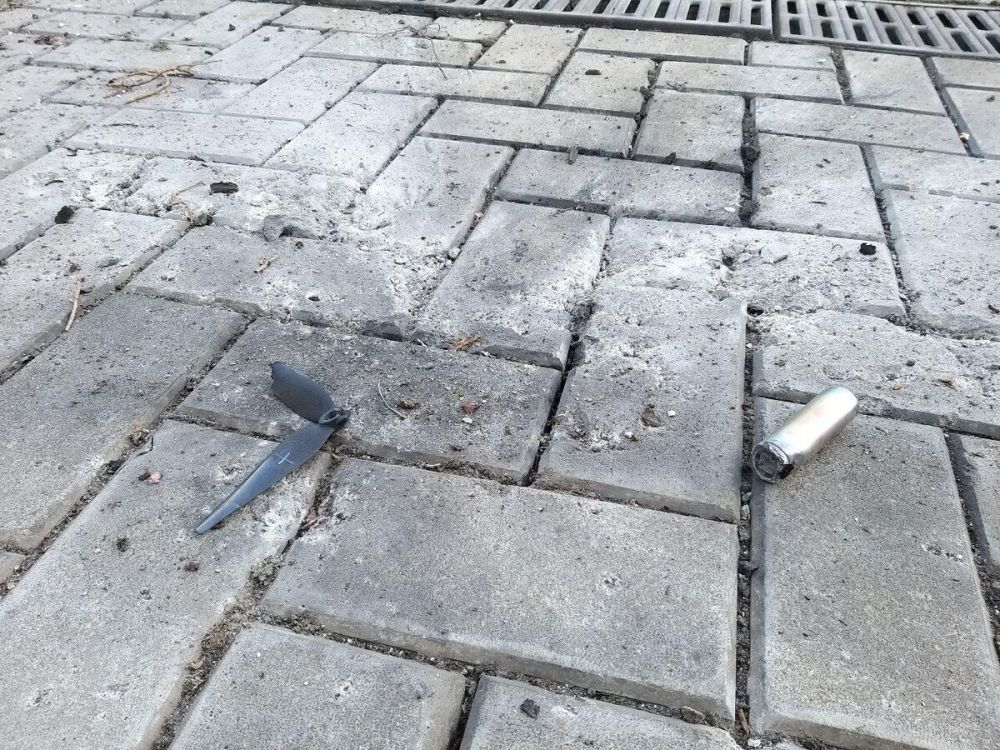 ��� ���������� ���������� ���� �������� �����������, ������������ ���������