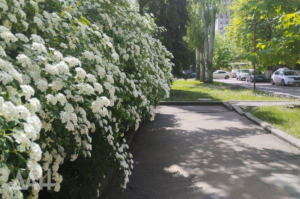 Вечерний дайджест новостей субботы, 27 апреля