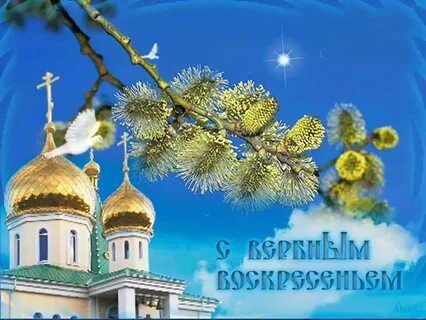 ���� ��������: ���������� ������� ���� ������������ �������� �� ������� � ������� ���������� - ������� ������������!