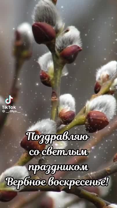 �������� �������: � ���������� �������� �����������!