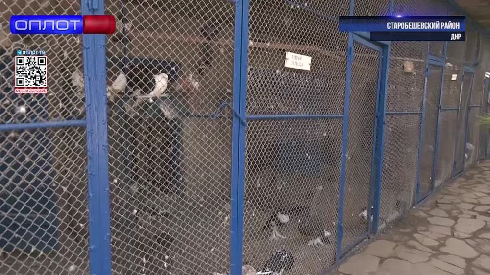 ������� ��������: � ����������� ������ ������������� ������������ ��� � ������ �� ����