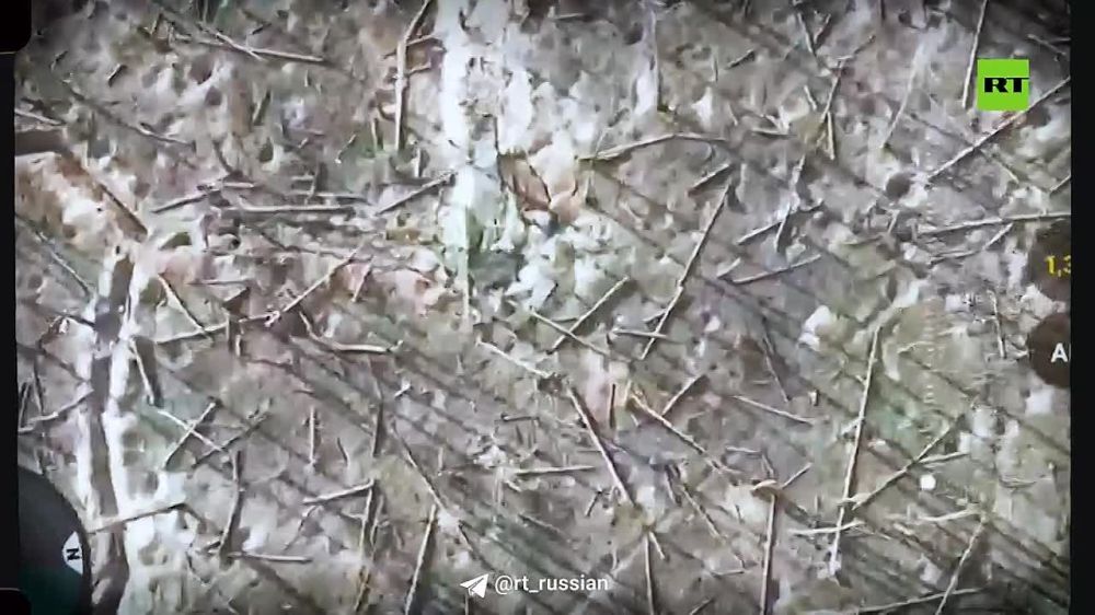 ������������ ����� ����������� ����������� � �������� ����� ���� ����� ����������� � � ������������ ����������� (���)