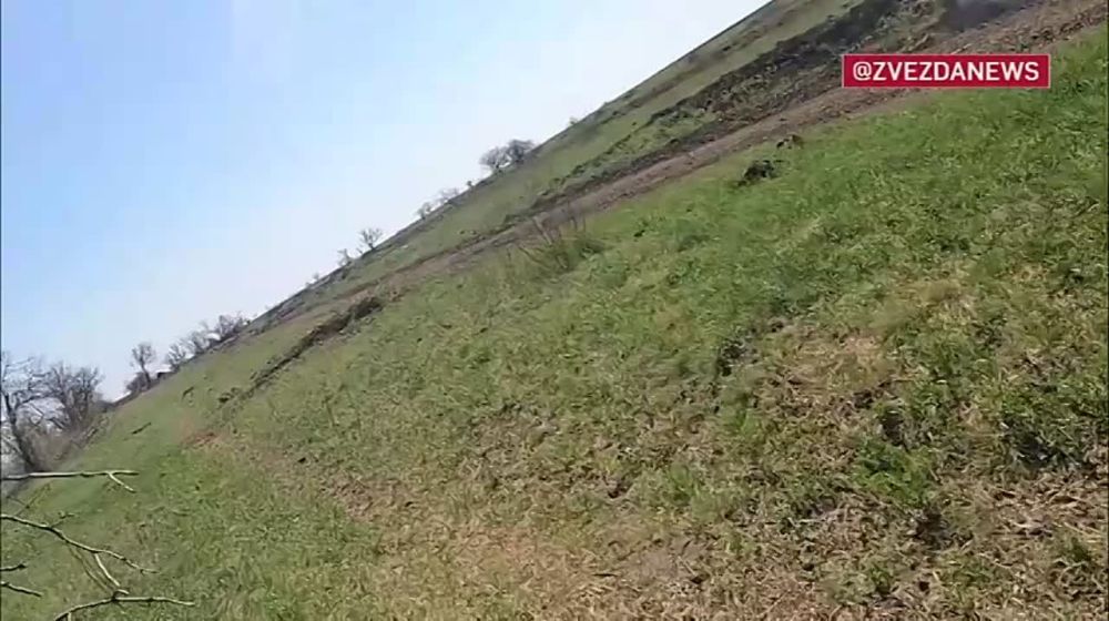 ������ �������� ��� �� ������� ����: ���������� ���������� ������������ ��������� ������� ���������� �� ����-�������� �����������