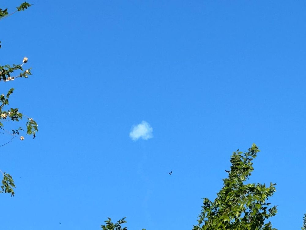 ������ �������: ������, �������� ���. @rtrdonetsk