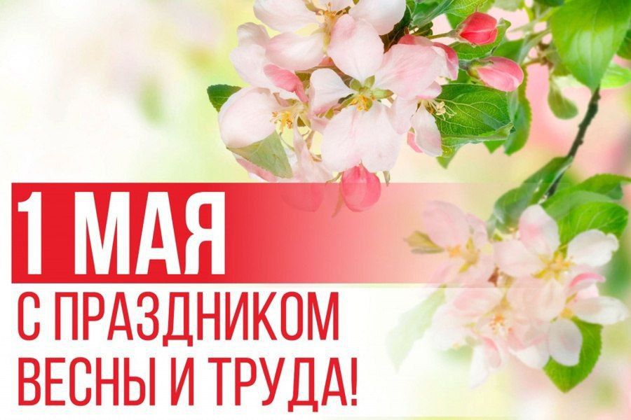 ������ ��������: ������� ������ � ����� ���������� ������ ����������!