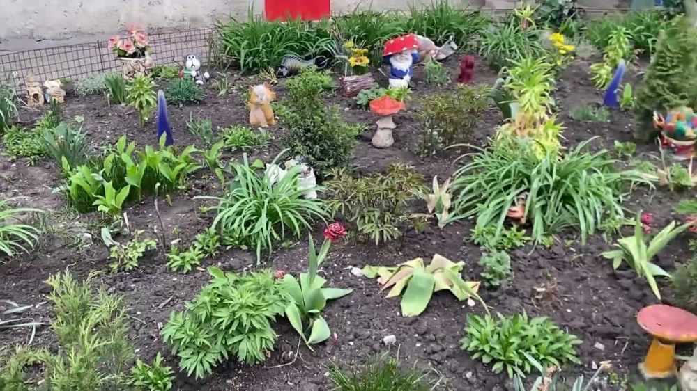 ������� ��������: ��������: ������ ���������� ��������� ������ ������������ ���������, ������� ��������� ������������ ������ � ������ ��������� � ����� � ���� ���������