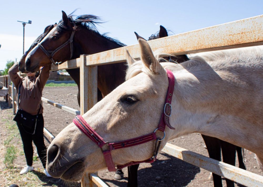 30 ������ �������� ����� ��� �� ������ ������� �������� ��������� �������� �������� ������������� ���������� "��� ���" � �������