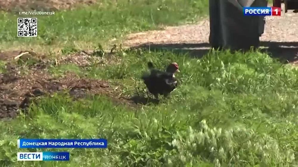 �������������� ����� � ����