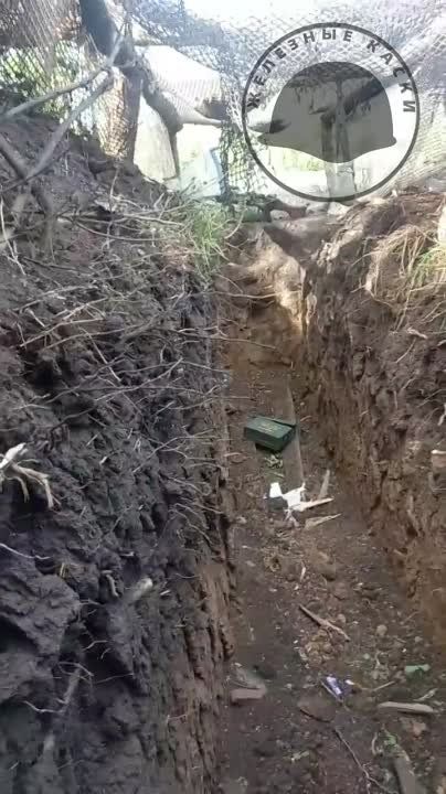 ��������� �������� �������� ������� ����������� �������� ��� �������������