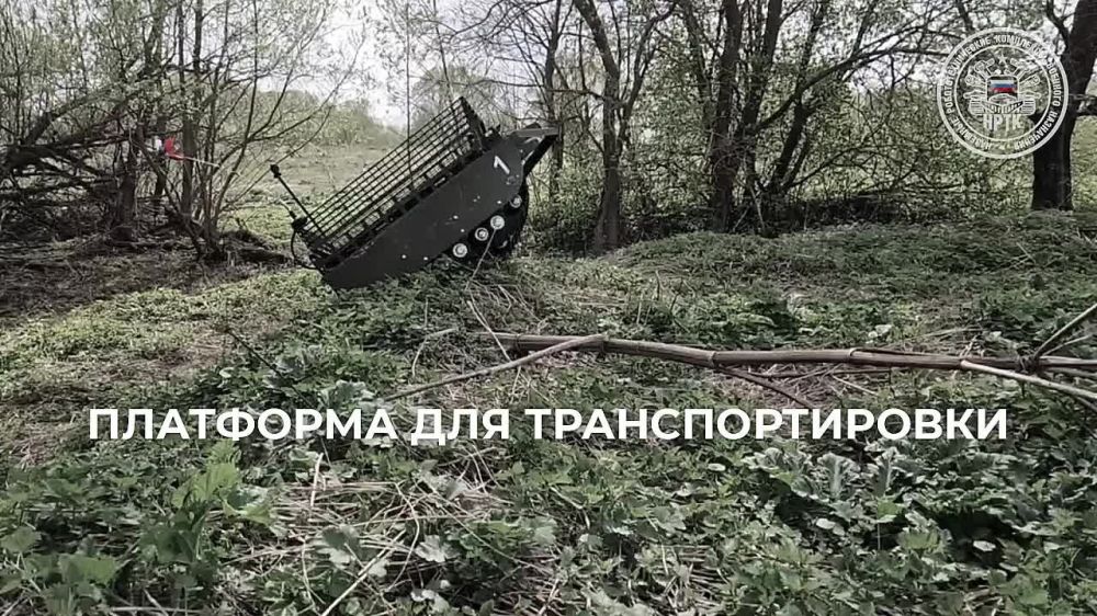 ����� �����: ���� "������" � ��������� ���������