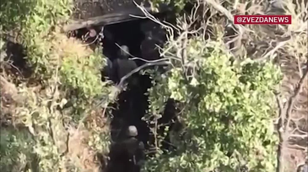 ����� �����: ���� ���� �������� ������� ��� � ������������ � ������ �� �������� ����������� � ����� �� ����� ������� FPV-������ ������� ����� 40 ������
